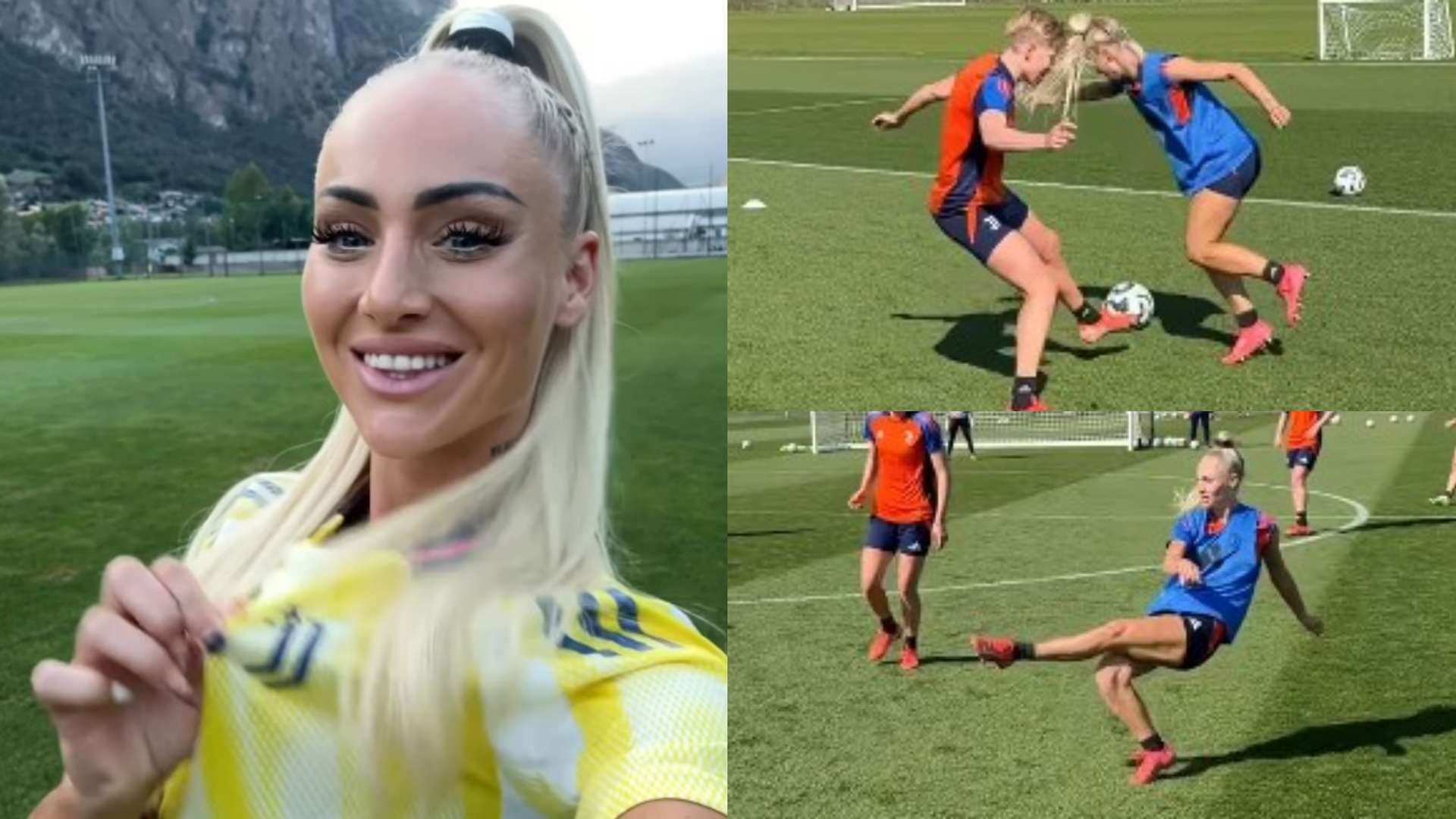 蜂窝网格等 蜂窝网格等