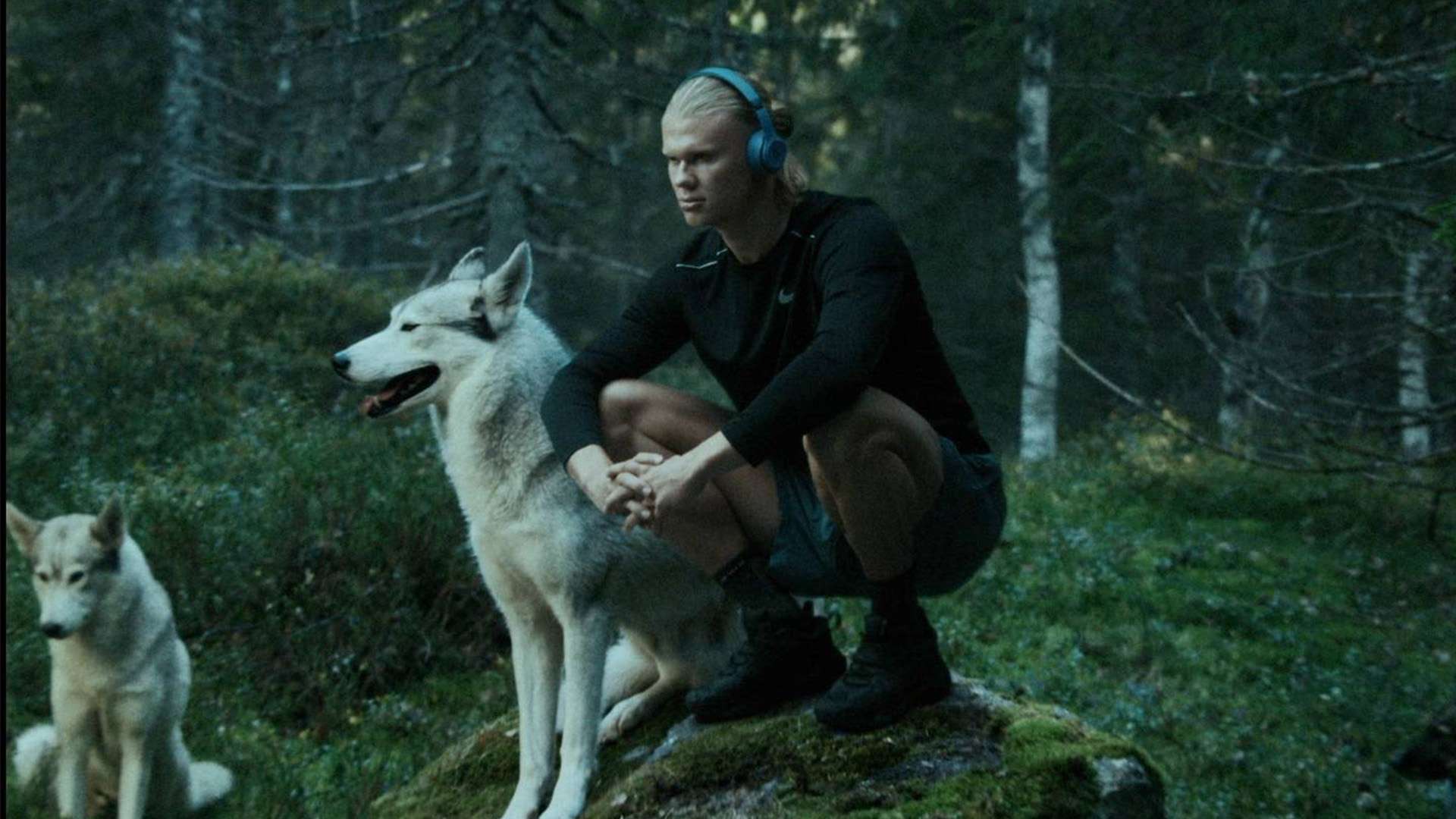 于自己的辉 于自己的辉